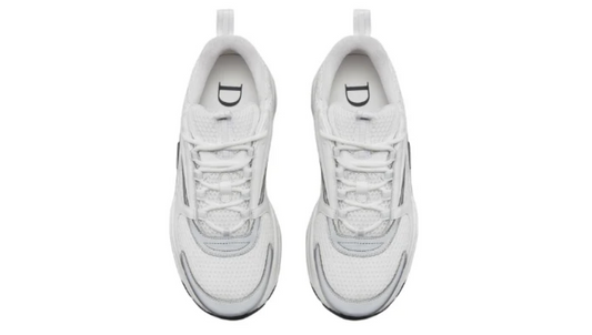 Dior B22