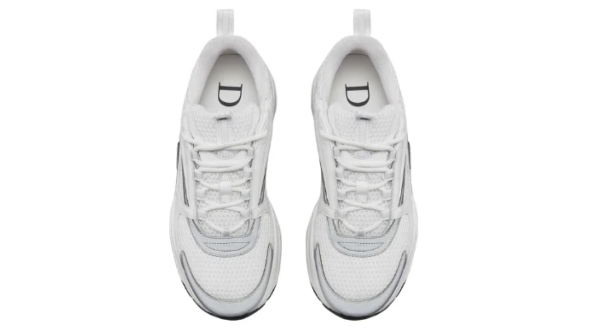Dior B22