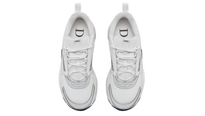 Dior B22
